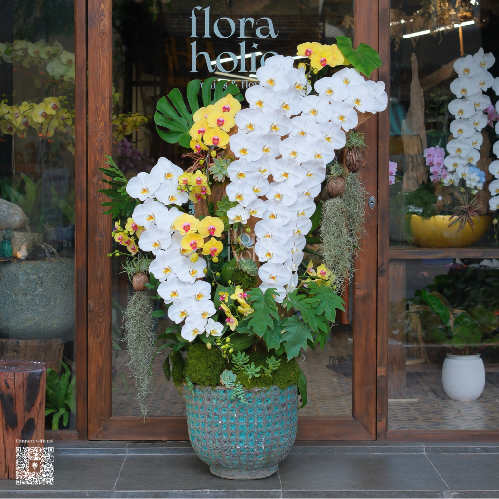 Thịnh Vượng Vẹn Toàn