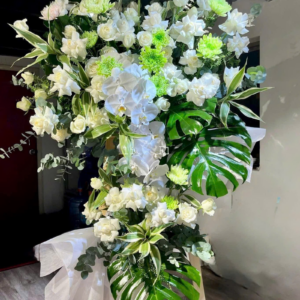 Một Kiếp Nhân Sinh